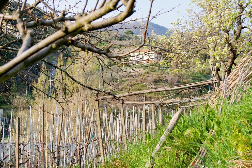 Apartmán Family House Levanto Pokoj fotografie